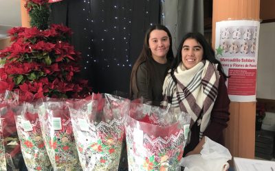 Mercadillo solidario 2