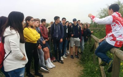 Málaga, Almería y Granada