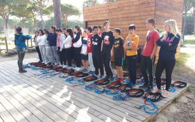 El Bosque Suspendido II